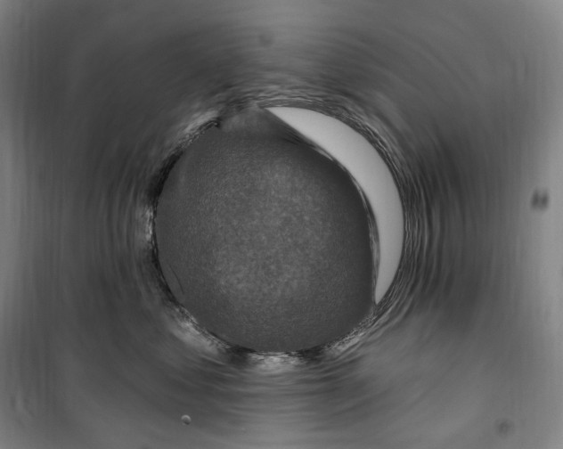 X0000099580621200806061628