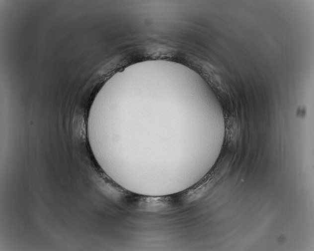 X0000099580622200806061628