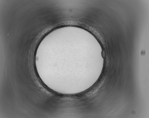 X0000099580625200806061627