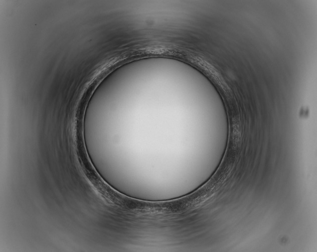 X0000099580626200806061627