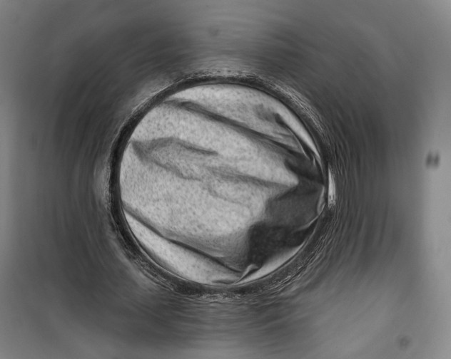 X0000099580627200806061627