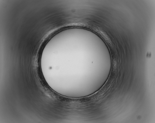 X0000099580628200806061627