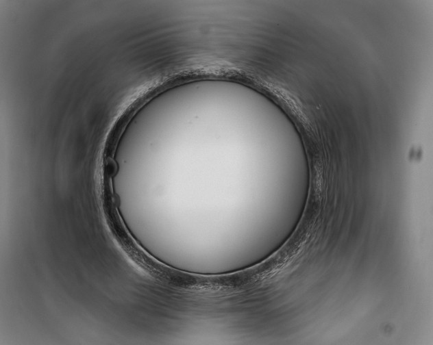 X0000099580630200806061627