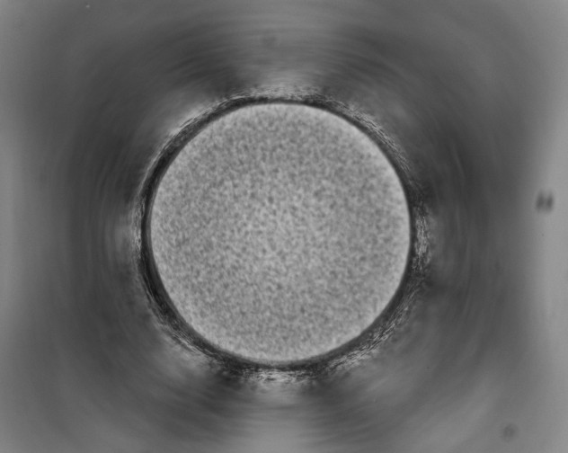 X0000099580632200806061627