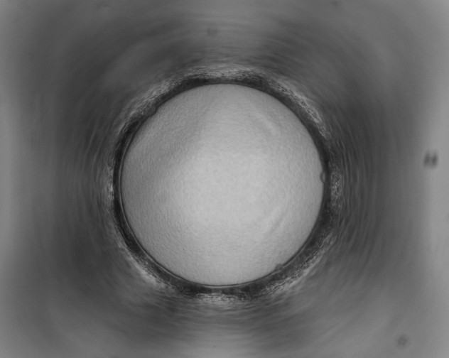 X0000099580633200806061627