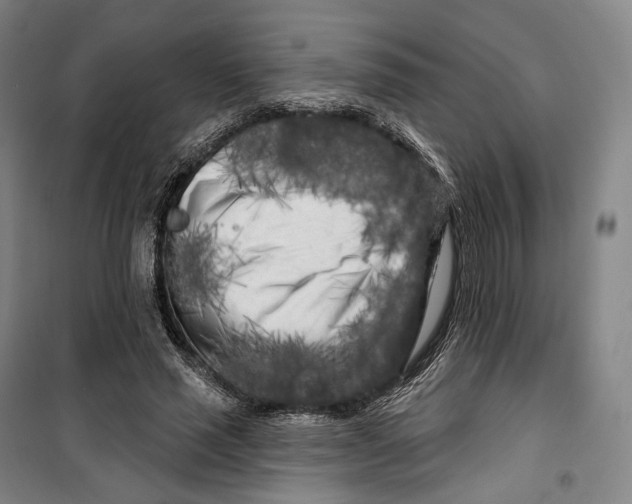 X0000099580637200806061628