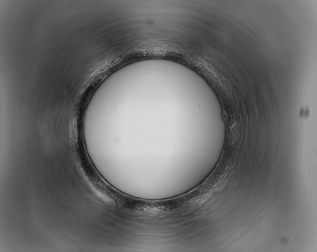 X0000099580638200806061628