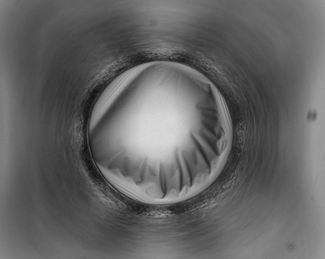 X0000099580642200806061628