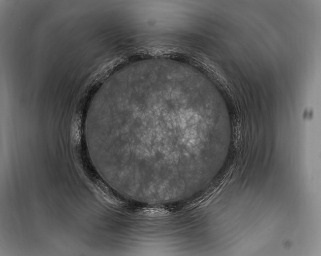 X0000099580644200806061628