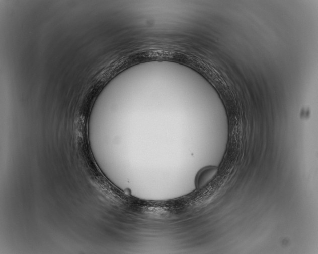 X0000099580649200806061628