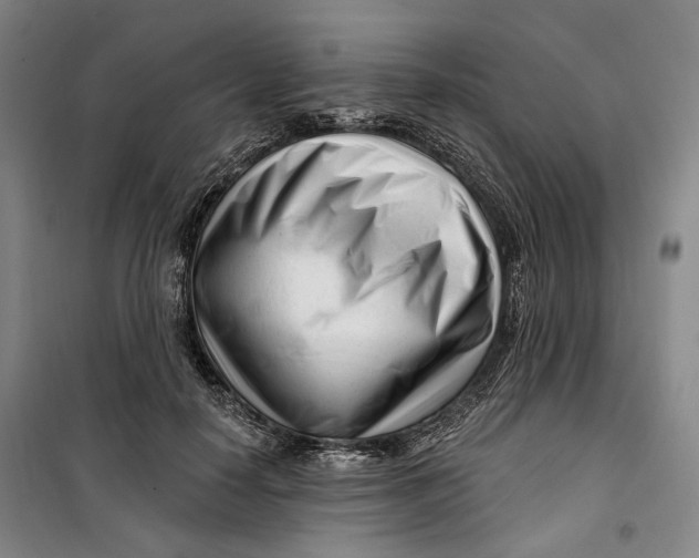 X0000099580650200806061628