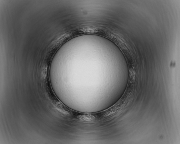 X0000099580652200806061628