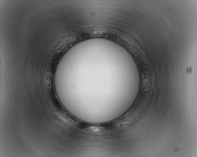 X0000099580654200806061628