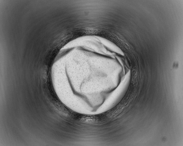 X0000099580655200806061628