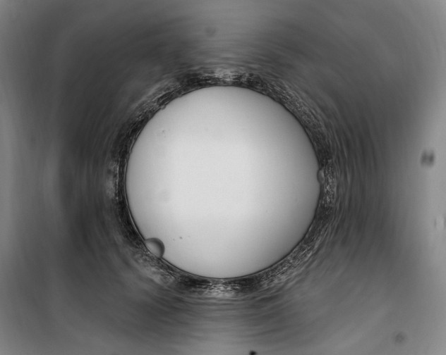 X0000099580656200806061628