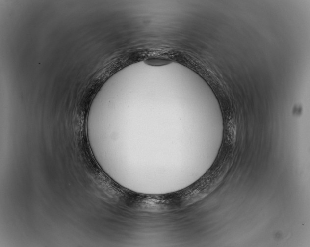 X0000099580657200806061628