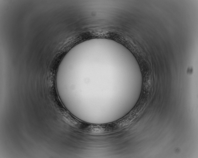 X0000099580658200806061628