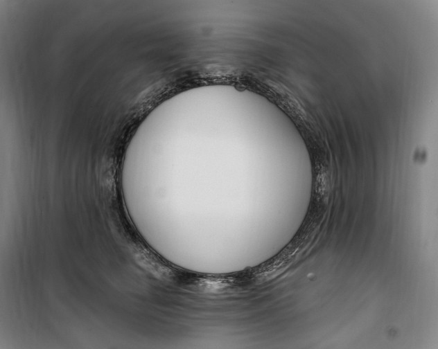 X0000099580662200806061628