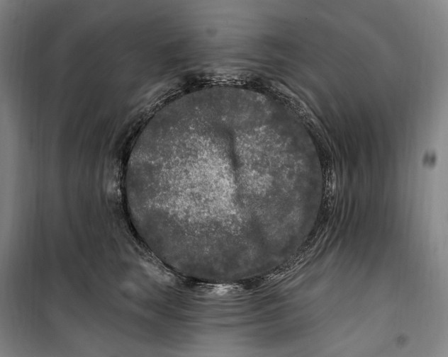 X0000099580663200806061628