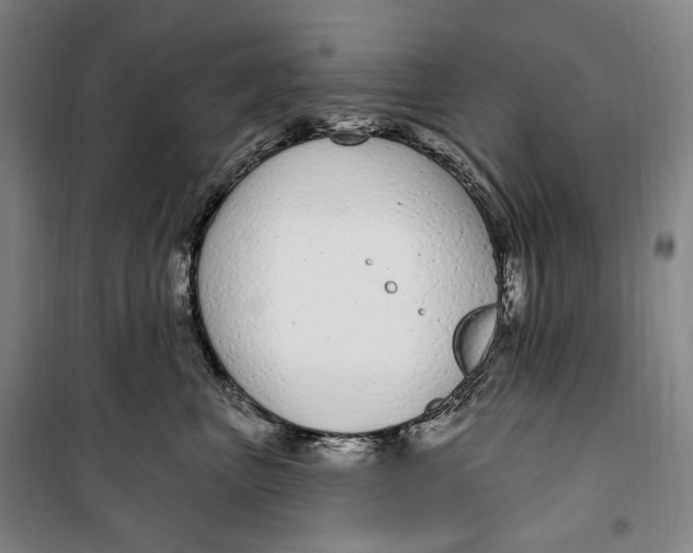 X0000099580667200806061628