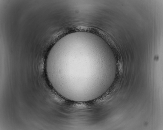 X0000099580668200806061628