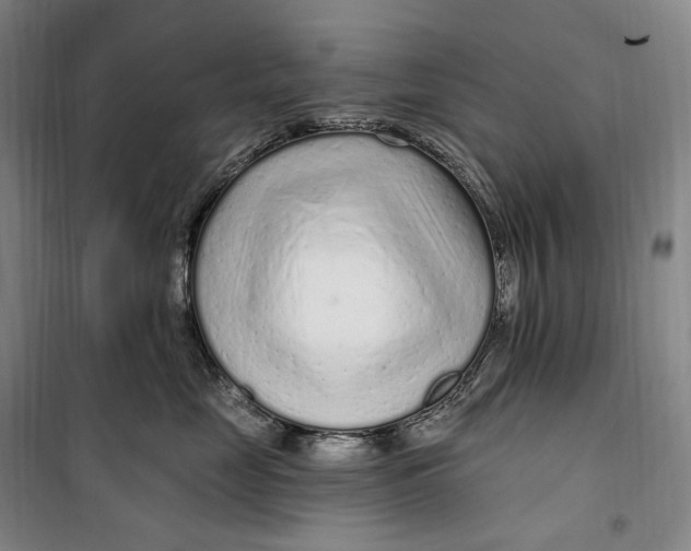 X0000099580669200806061628