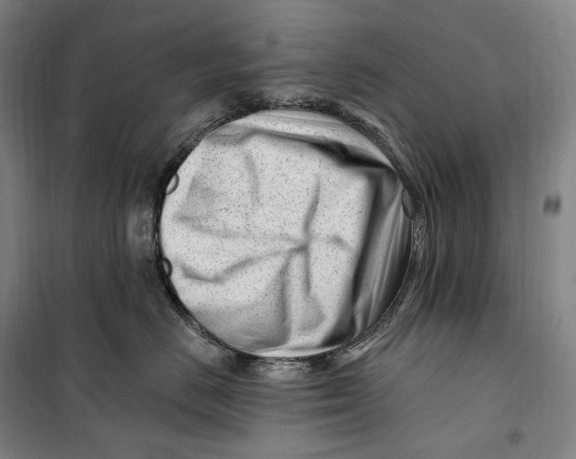 X0000099580670200806061628