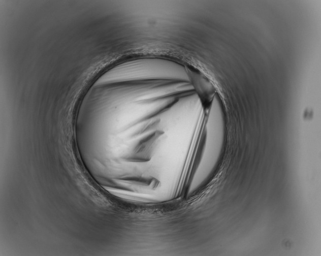 X0000099580673200806061627