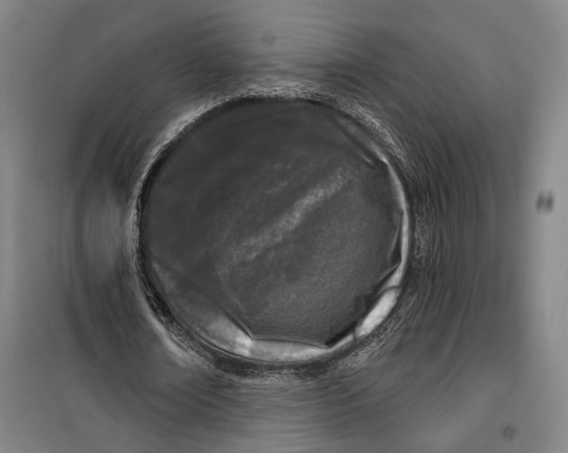 X0000099580674200806061627