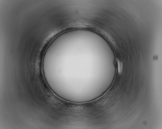 X0000099580675200806061627