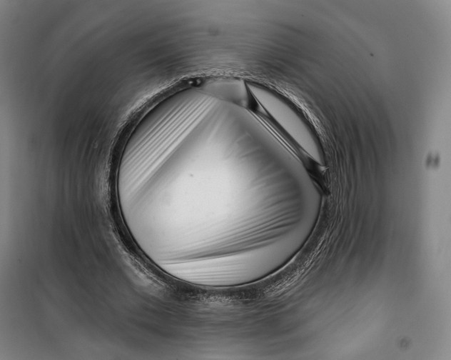 X0000099580677200806061627