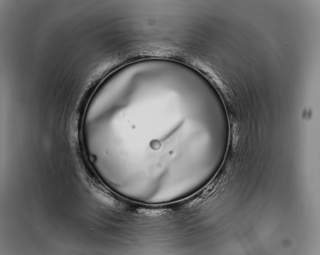 X0000099580679200806061627