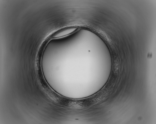 X0000099580680200806061627