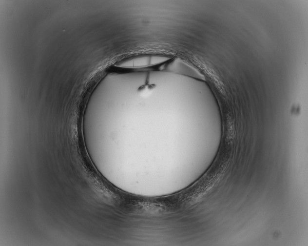 X0000099580681200806061627