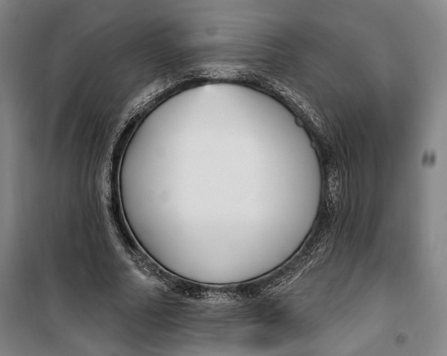 X0000099580682200806061627