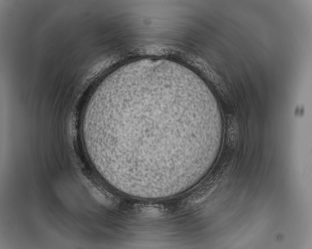 X0000099580683200806061627