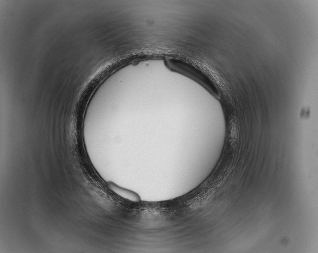 X0000099580684200806061627