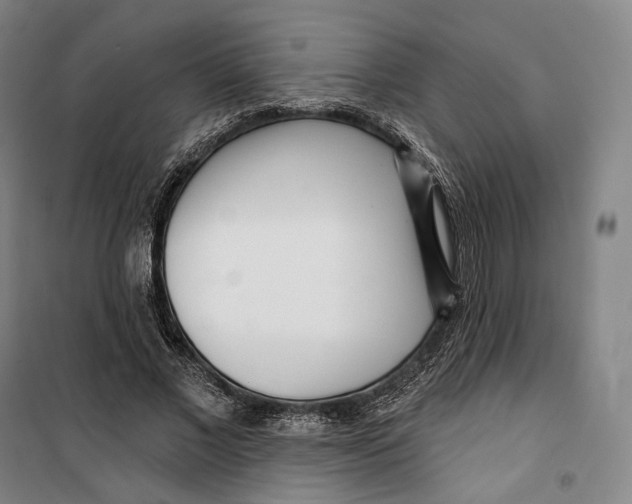 X0000099580685200806061627