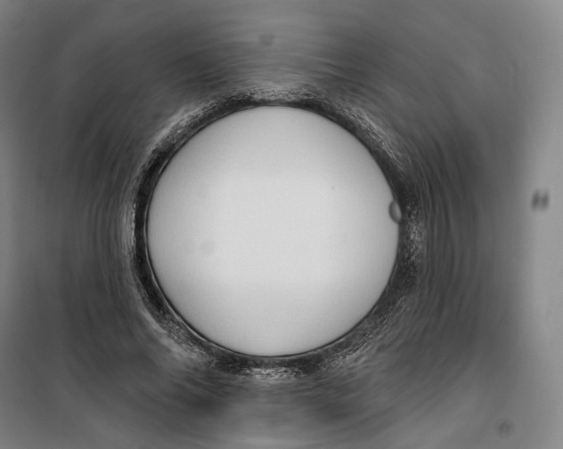 X0000099580686200806061627