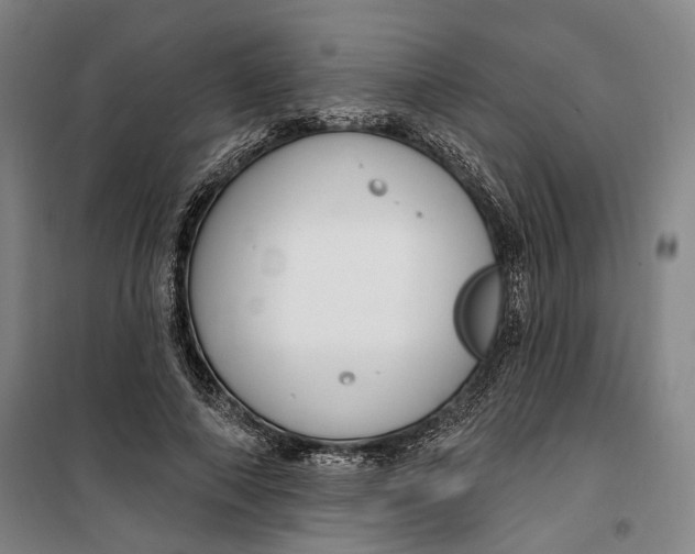 X0000099580690200806061627