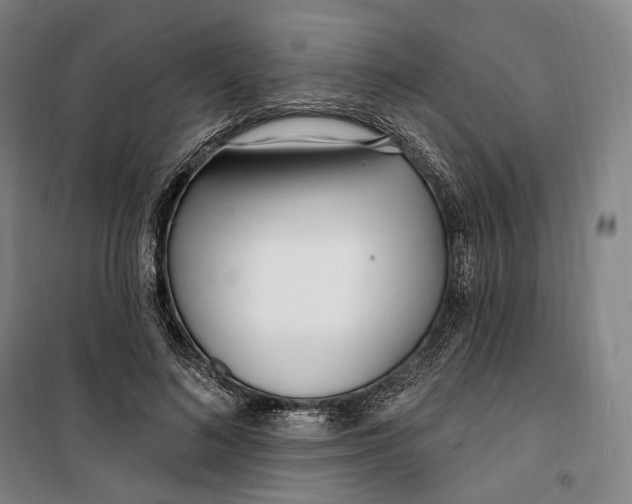 X0000099580692200806061627