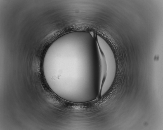 X0000099580693200806061627