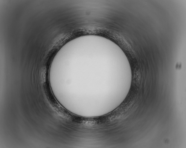 X0000099580694200806061627