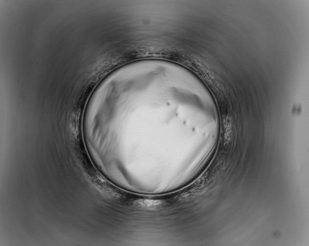 X0000099580695200806061627