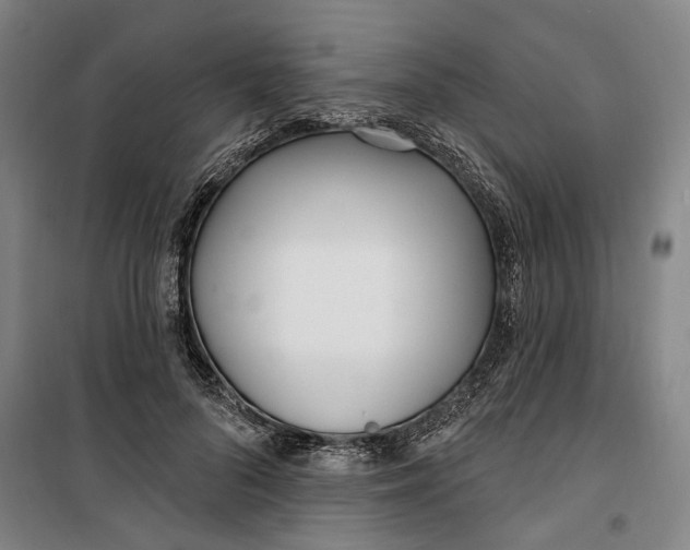 X0000099580696200806061627