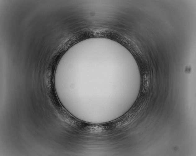 X0000099580698200806061627