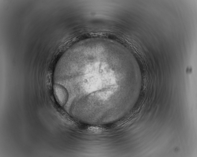 X0000099580699200806061627