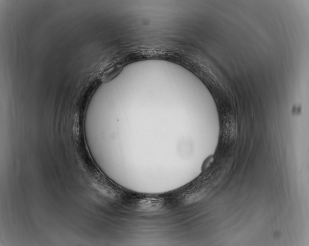 X0000099580700200806061627