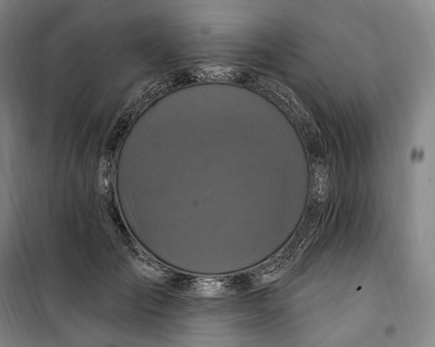 X0000099580701200806061627