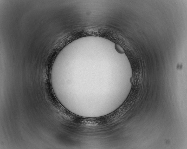 X0000099580702200806061627